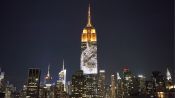 Endangered Species Light Up the Empire State Building