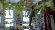 How Millennials Use Houseplants to Connect with Nature