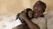 A Woman and Her Chimpanzees Heal Together After Trauma