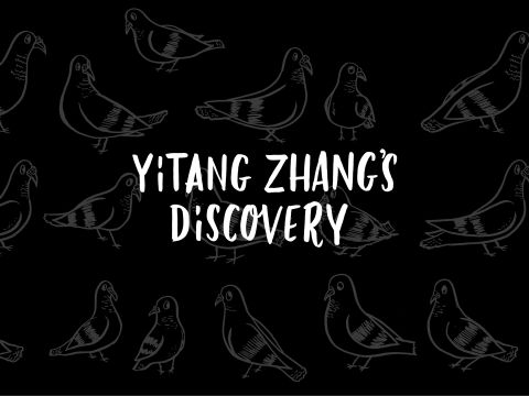Yitang Zhang’s Discovery