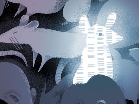 How CRISPR Can Help Fight Cancer