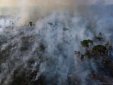 Why the Amazon Fires Are Surging