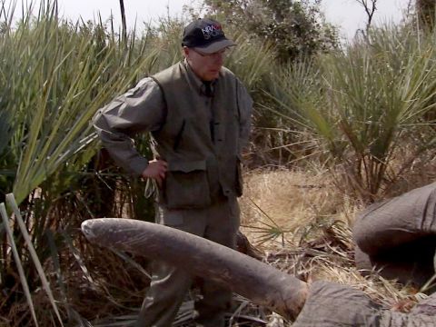 The Video of the N.R.A.’s Leader and His Wife Shooting Elephants