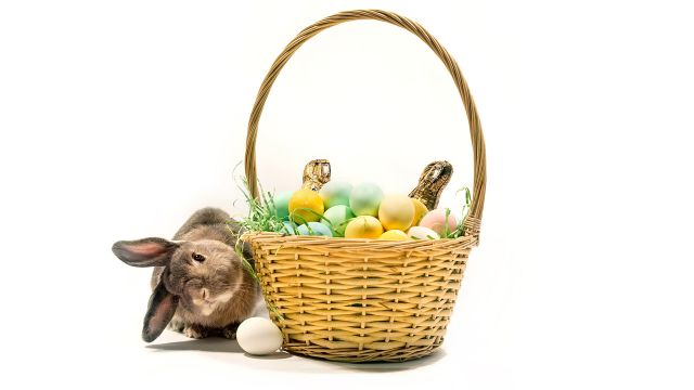 The Science of Beautiful Easter Egg Color