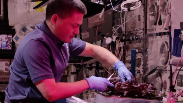 Space Is Hard | How NASA Will Science Its Food and Drink for Interplanetary Travel