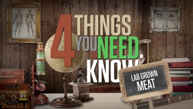 4 Things You Need To Know About Lab Grown Meat