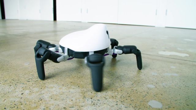 2017: The Year Robots Went Everywhere