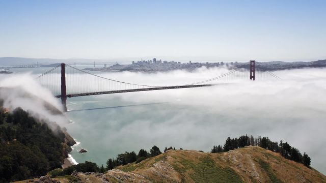 Melody Yang Makes Bubbles That Billow, Bend and Break Records