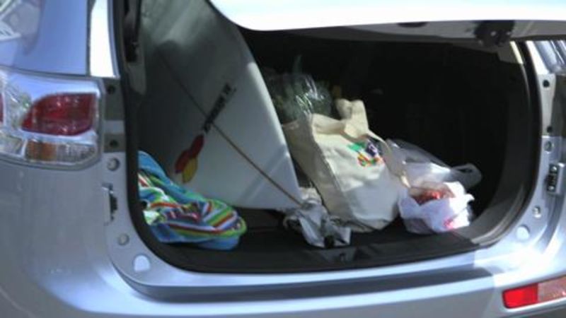 Little Chefs, Big Meals: Josiah Citrin