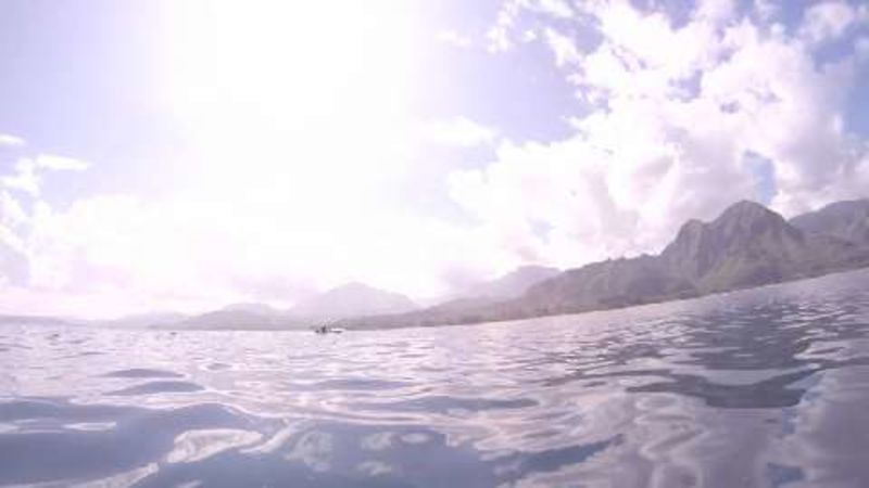 Here's What Deep Sea Fishing Actually Looks Like