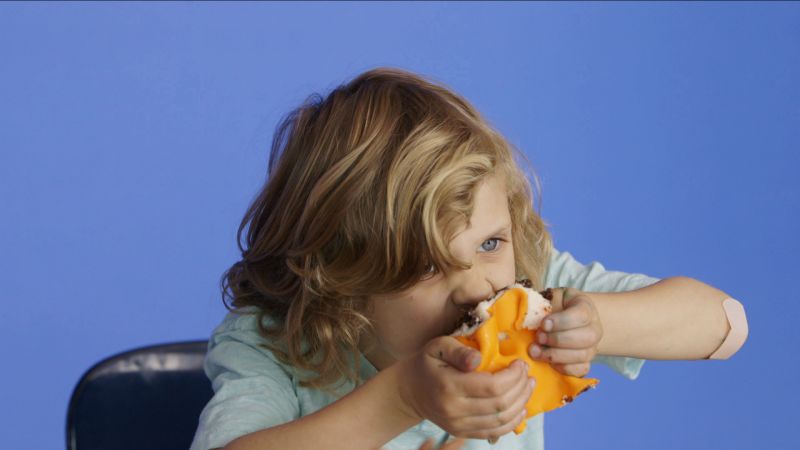 Brody and Kellan Imagine Their Animal Dream Cakes