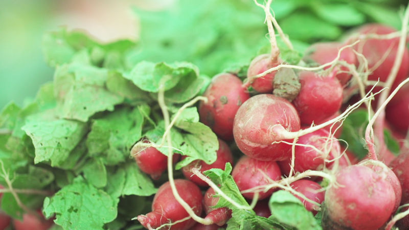 6 Tips for Farmers' Market Shopping