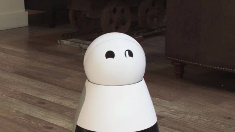 The Unrelenting Weirdness of Interacting With Robots