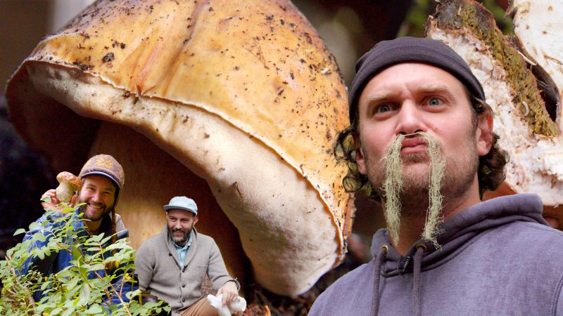 Brad Forages for Porcini Mushrooms