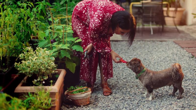 Chef Alejandra Ramos & Jojo: Pt. 1