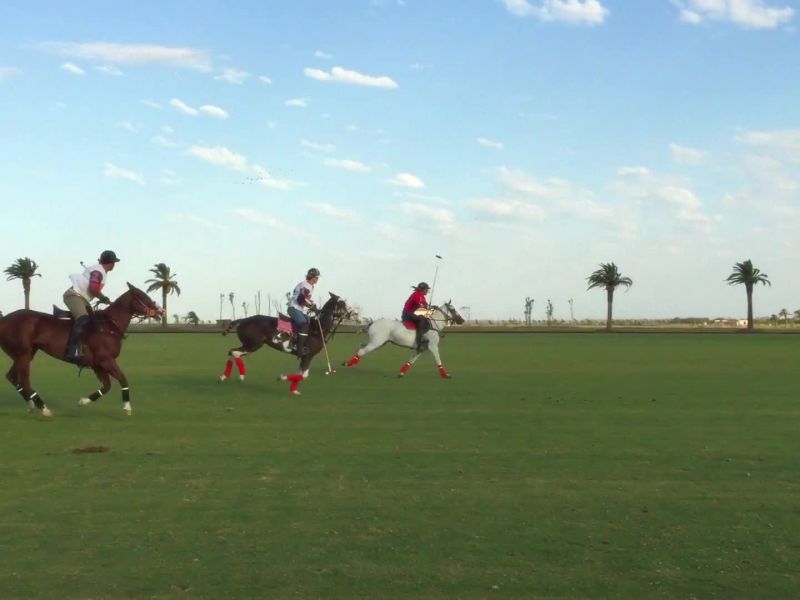 Playing Polo: The Sport of Kings in Argentina
