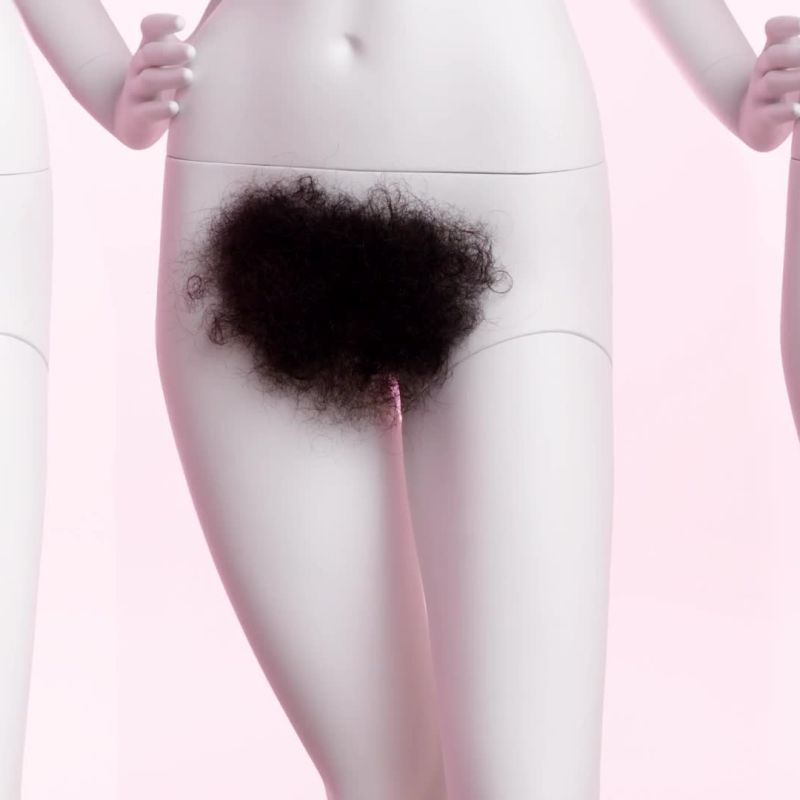 The Evolution of Pubic Hair