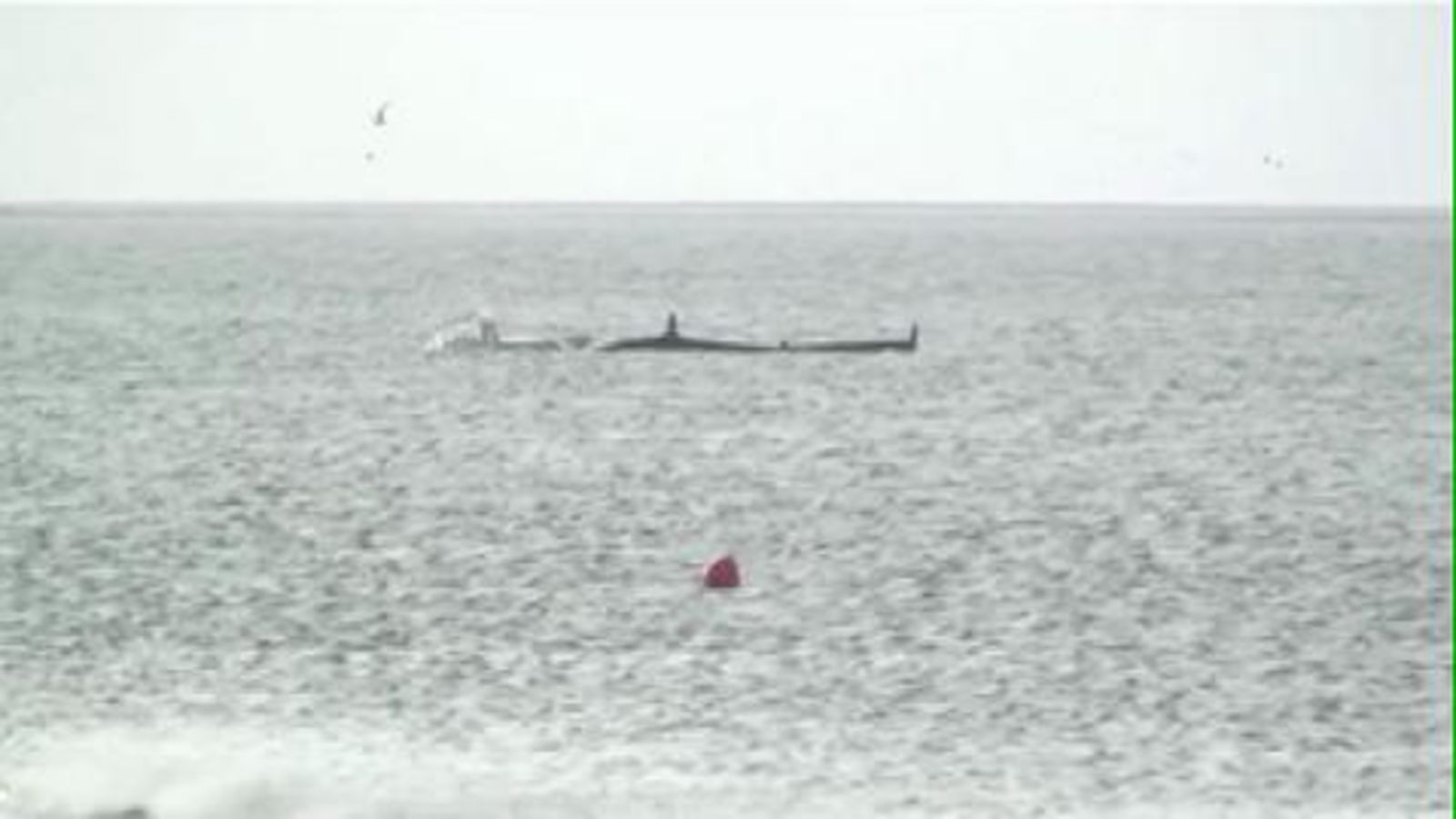 How Paul Larsen Reinvented the SailBoat