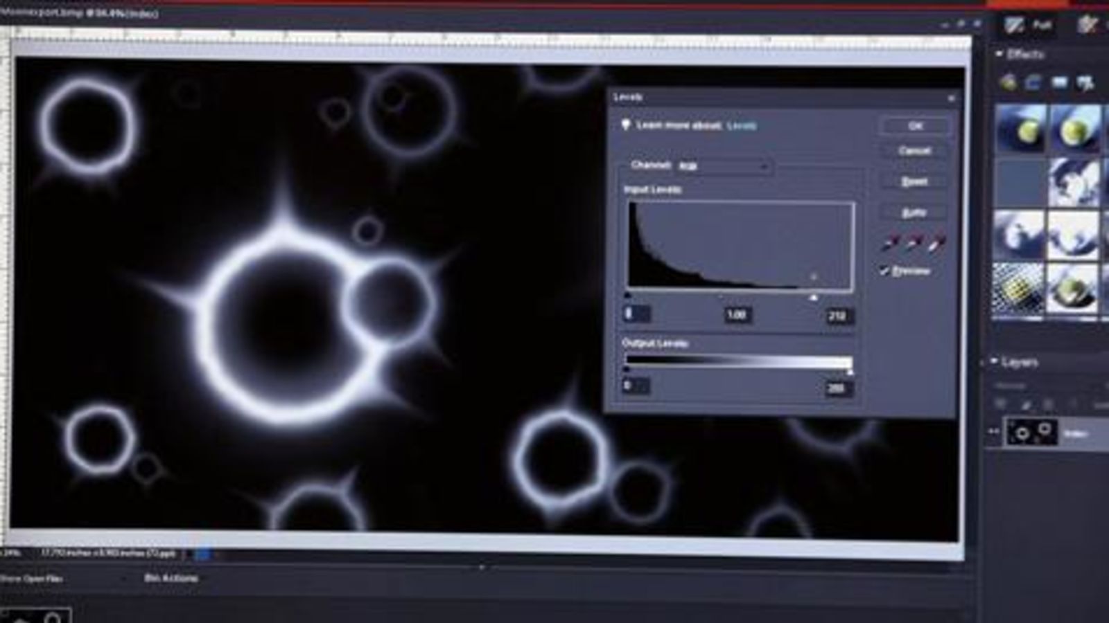 How Four Makers Mastered Their Medium