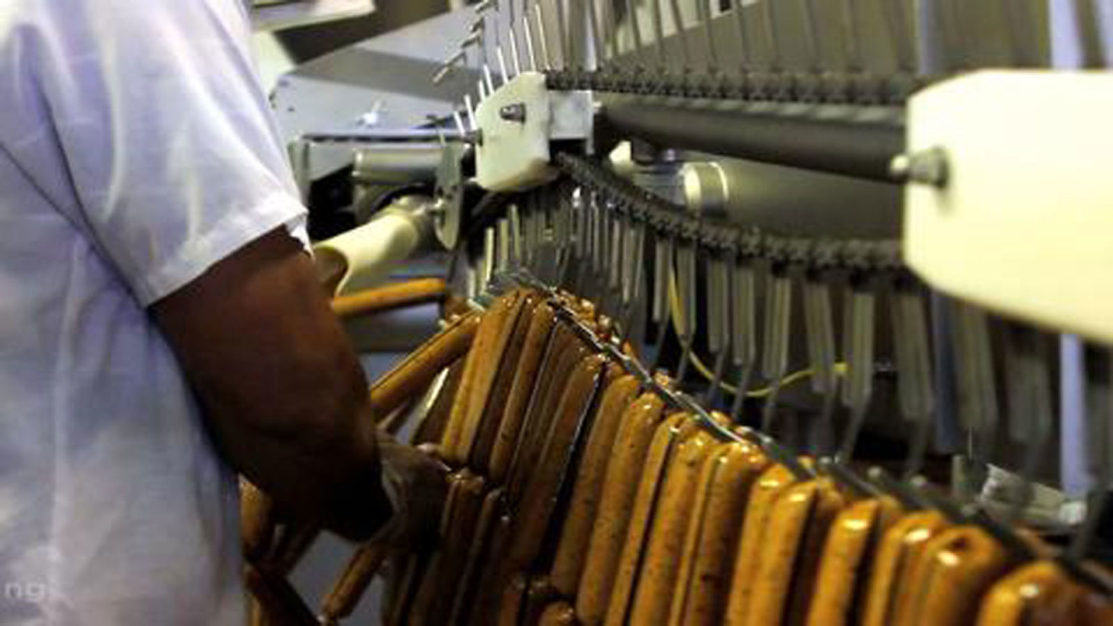 Process: How Tubes of Tofu Become Tofurky