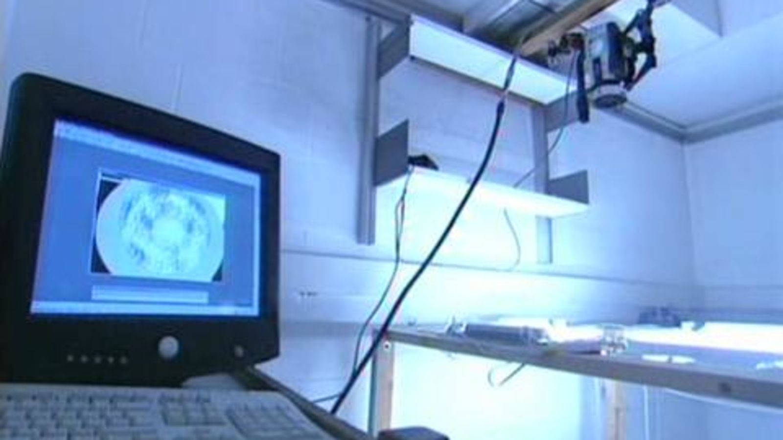 The Power of Swarms Can Help Us Predict the Future