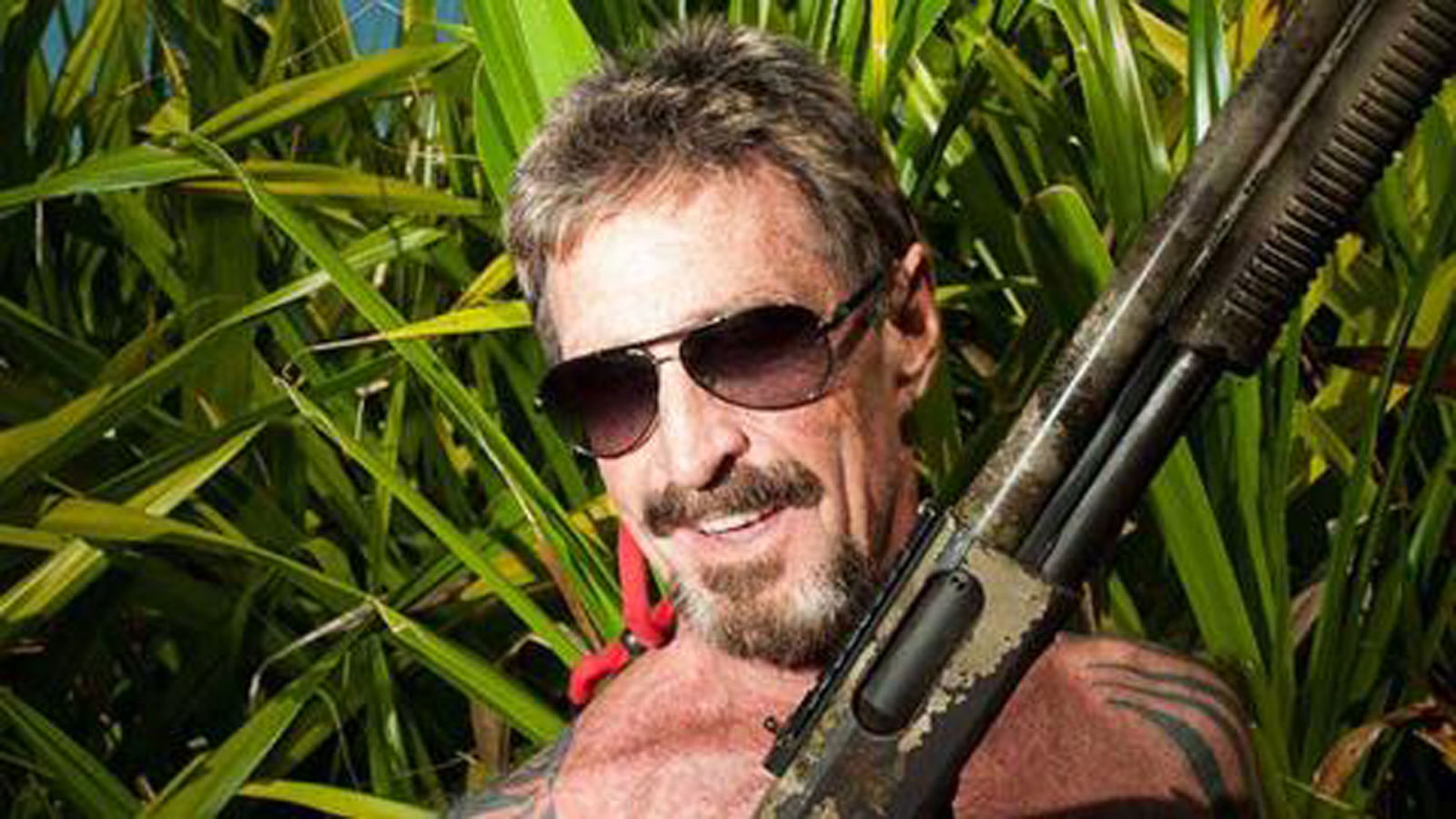 McAfee Declares Innocence