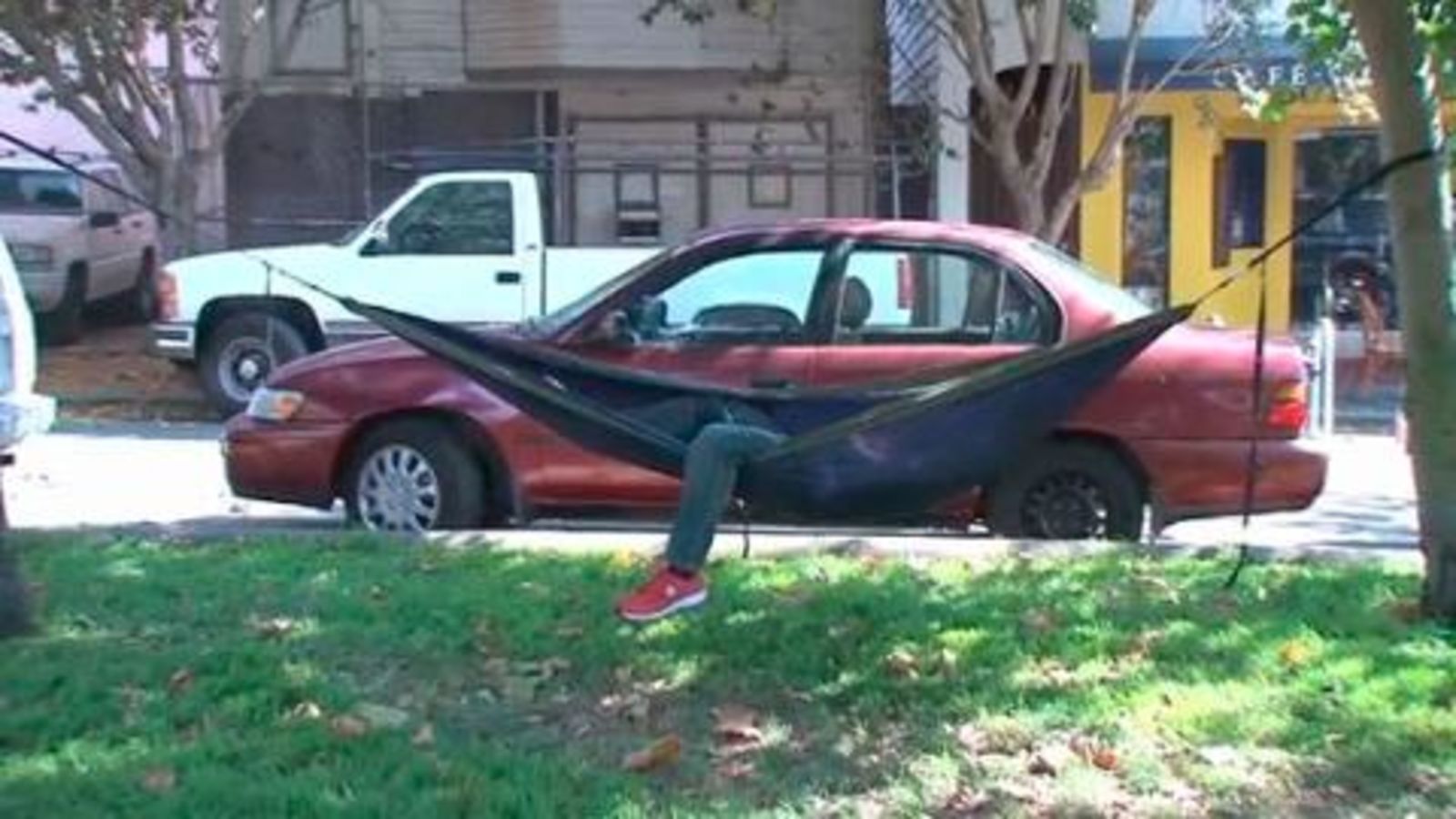 Take Your Party to the Park