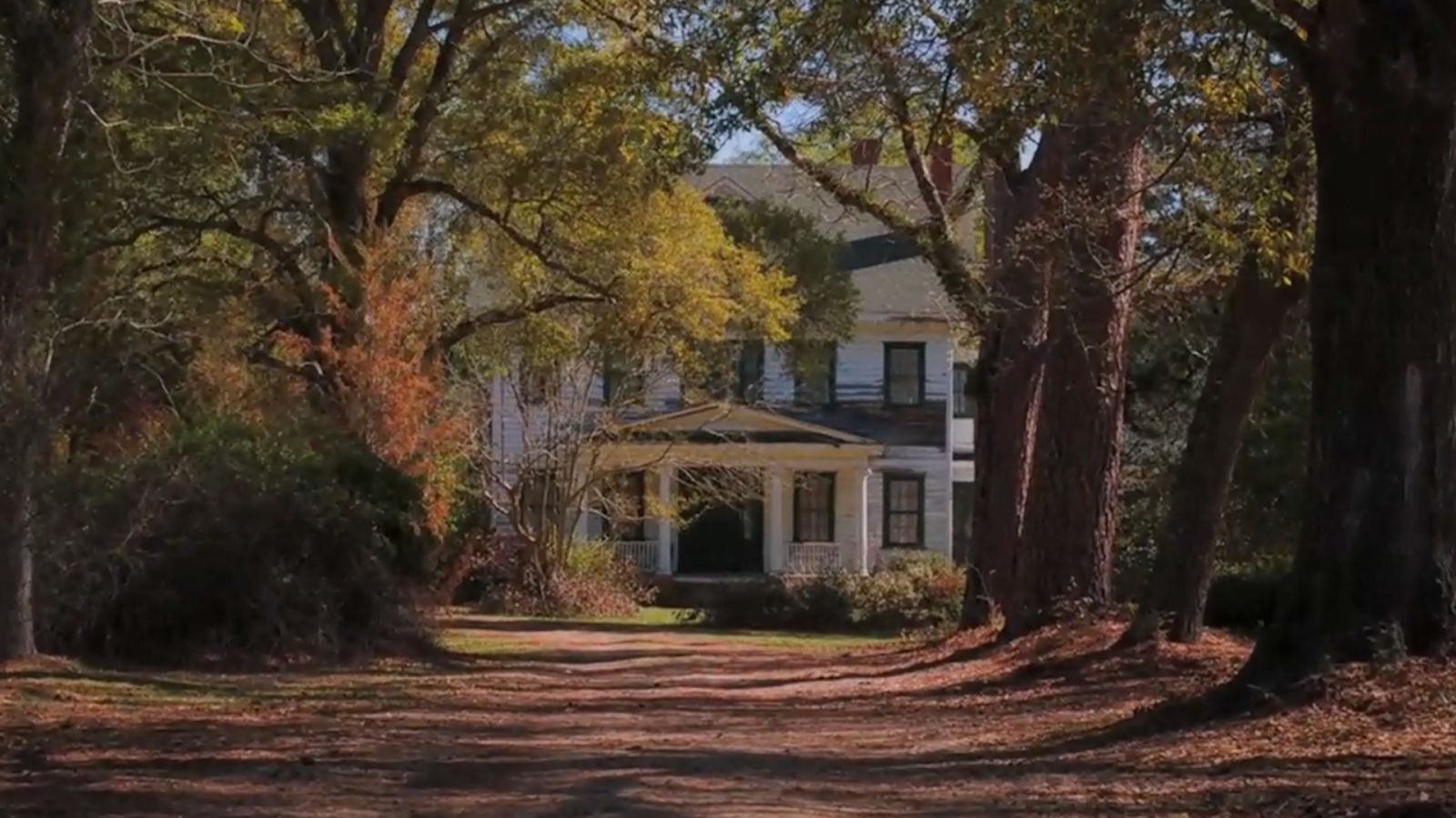 Lili Taylor on The Conjuring