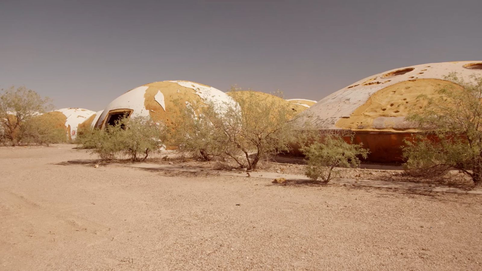 Momentum - Station to Station