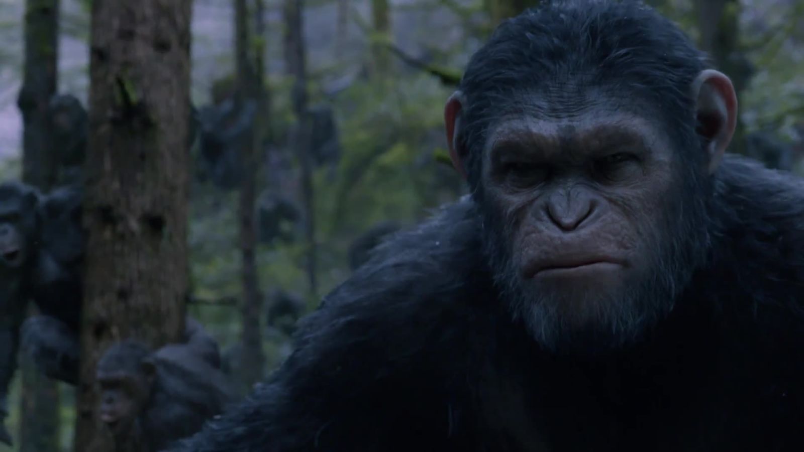 Bonus Content: Could A "Dawn of the Planet of the Apes" Disaster Actually Happen?