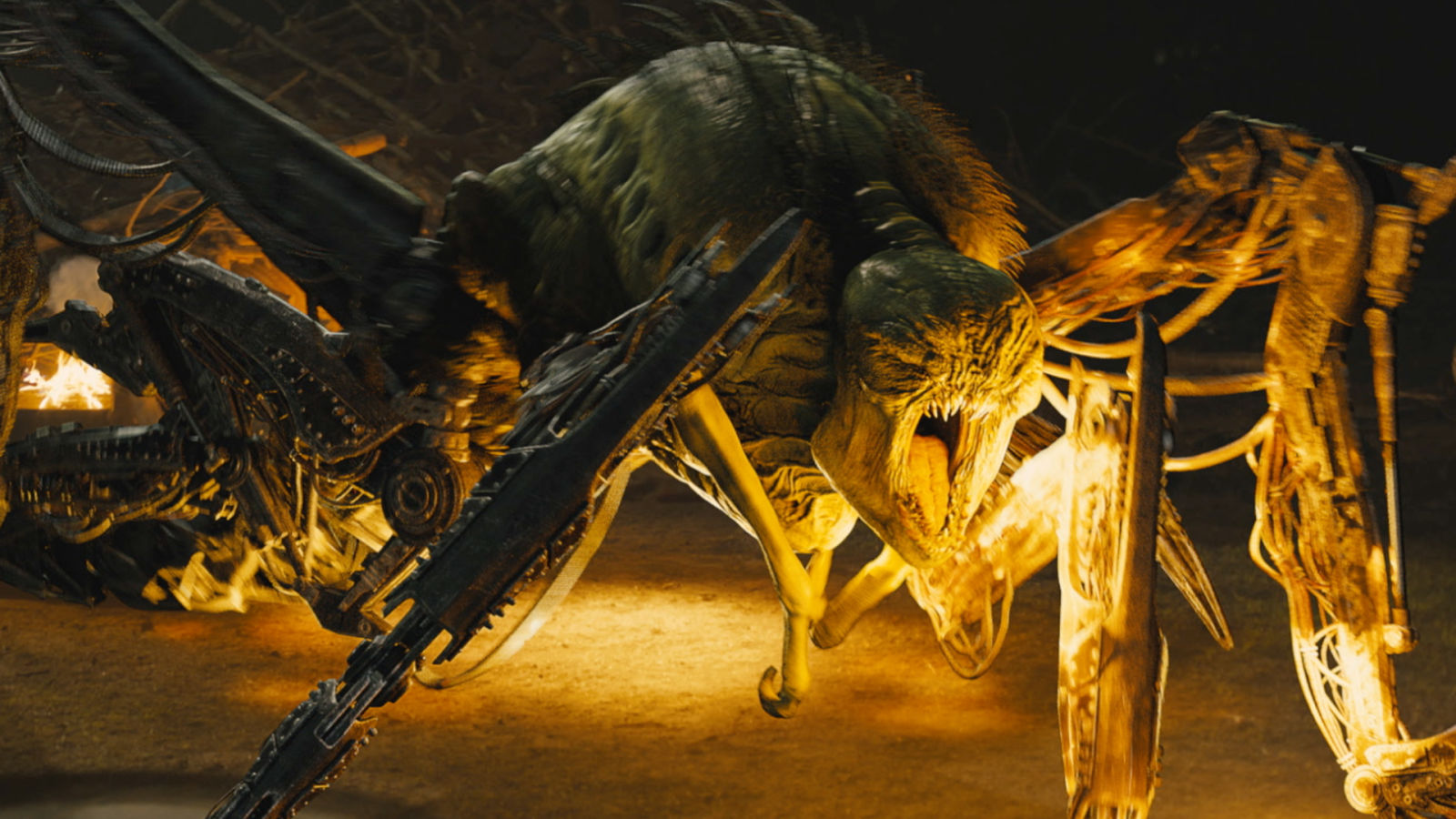 The Maze Runner Exclusive: Building the Mechanical Grievers & Complex Maze Set