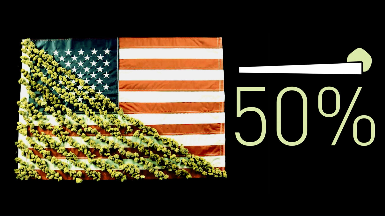 The Future of Legal Marijuana Explained with Marijuana