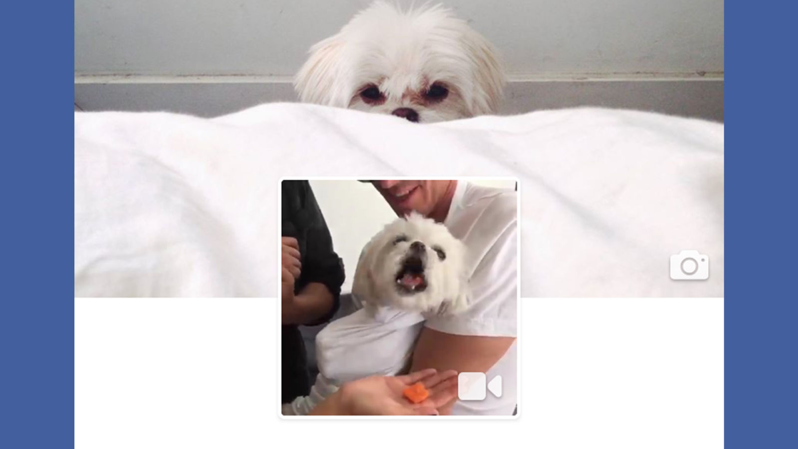 How to Make Your Facebook Profile Picture Into A Looping Video