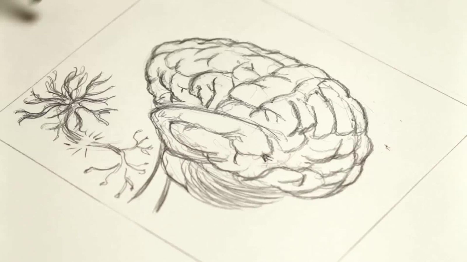 How ADHD Became a Multi-Billion Dollar Industry