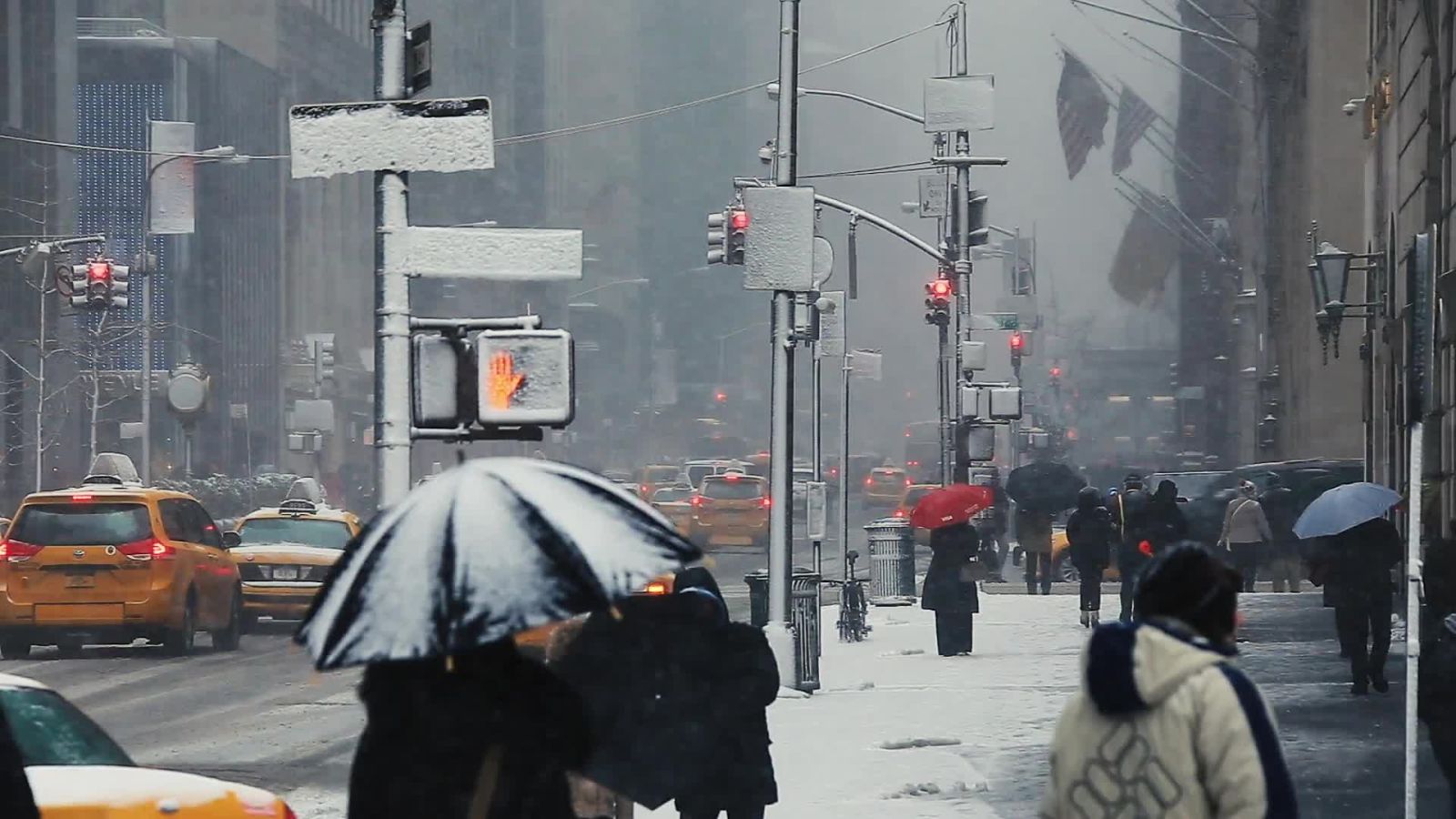 Nice Storm: The Blizzard of 2016 Is a Scientific Classic