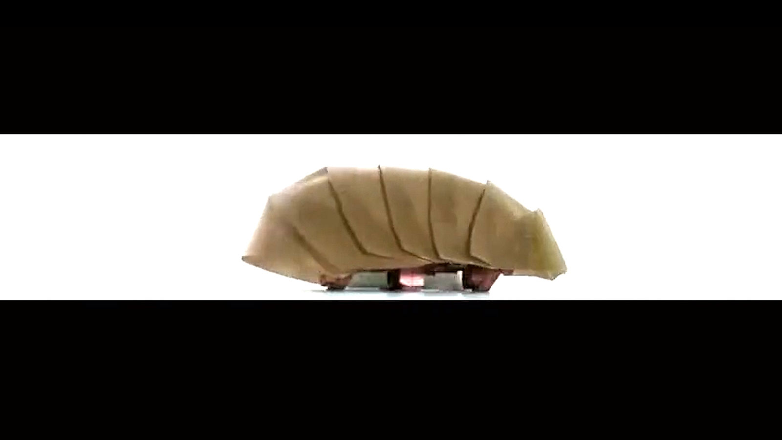 This Robo-Roach Might Someday Save Lives