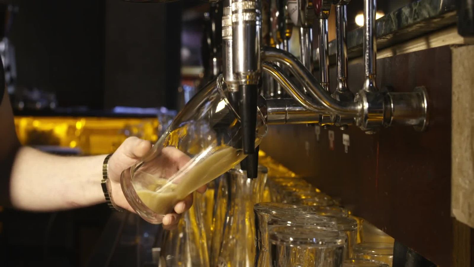 App Pack | All You Need for a Festive St. Patrick's Day