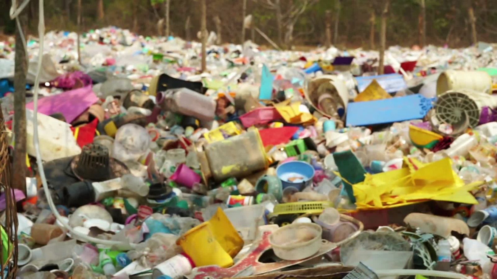 App Pack | These Apps Will Make You a Better Human (Environmentally Speaking)