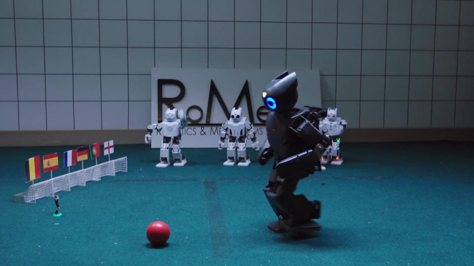 Soccer Playing Robot Predicts the Euro Cup Winner