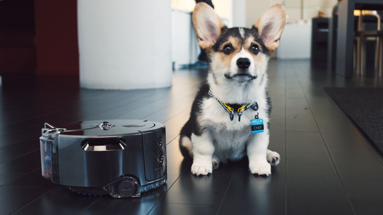 Meet Dyson’s New Roaming Robo-Vac