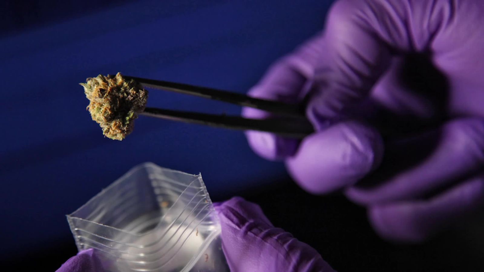 The DEA Chilled Out a Bit and Made It Easier to Study Weed