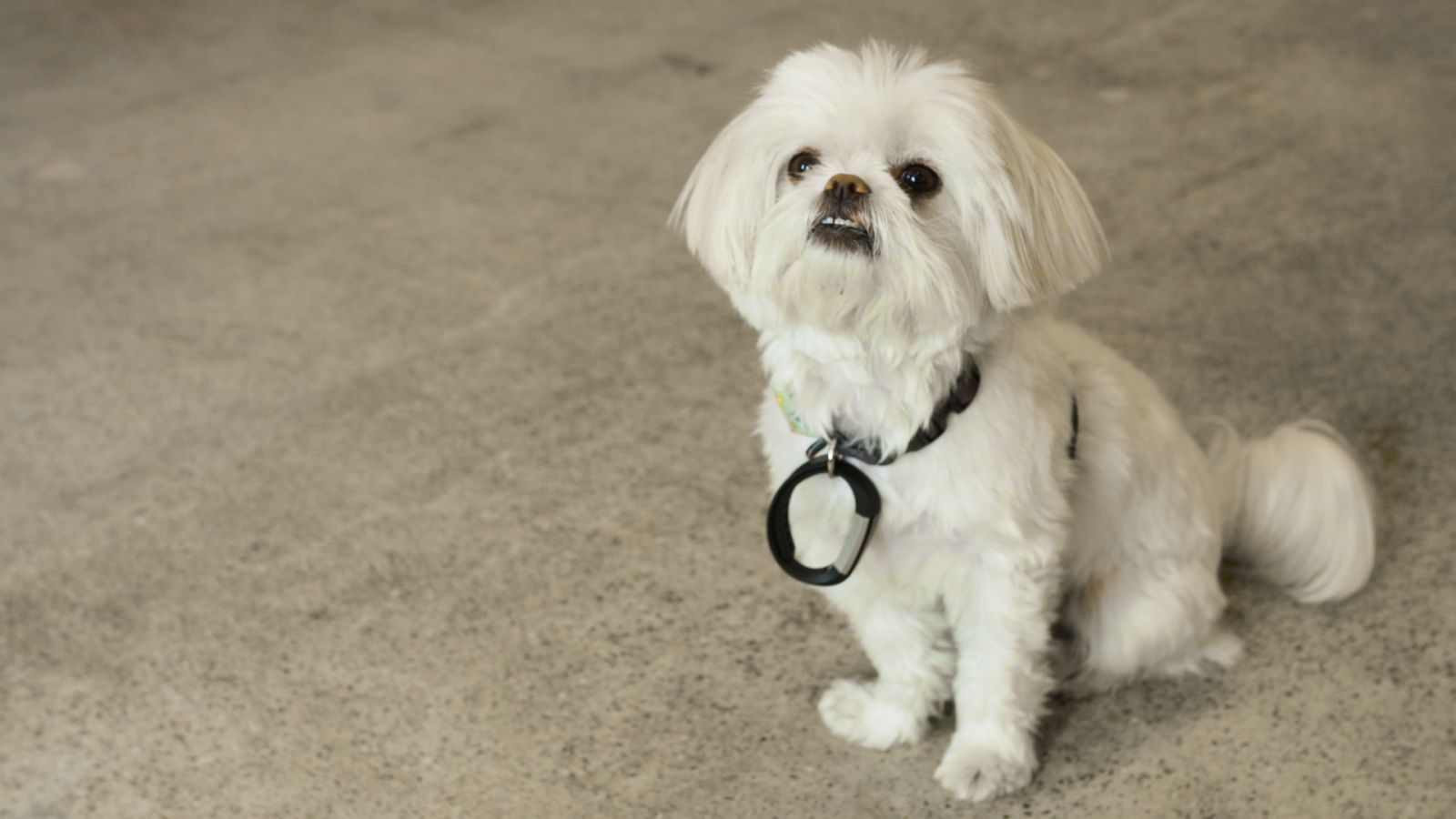 Fitbit Jailbreak Tips and Tricks