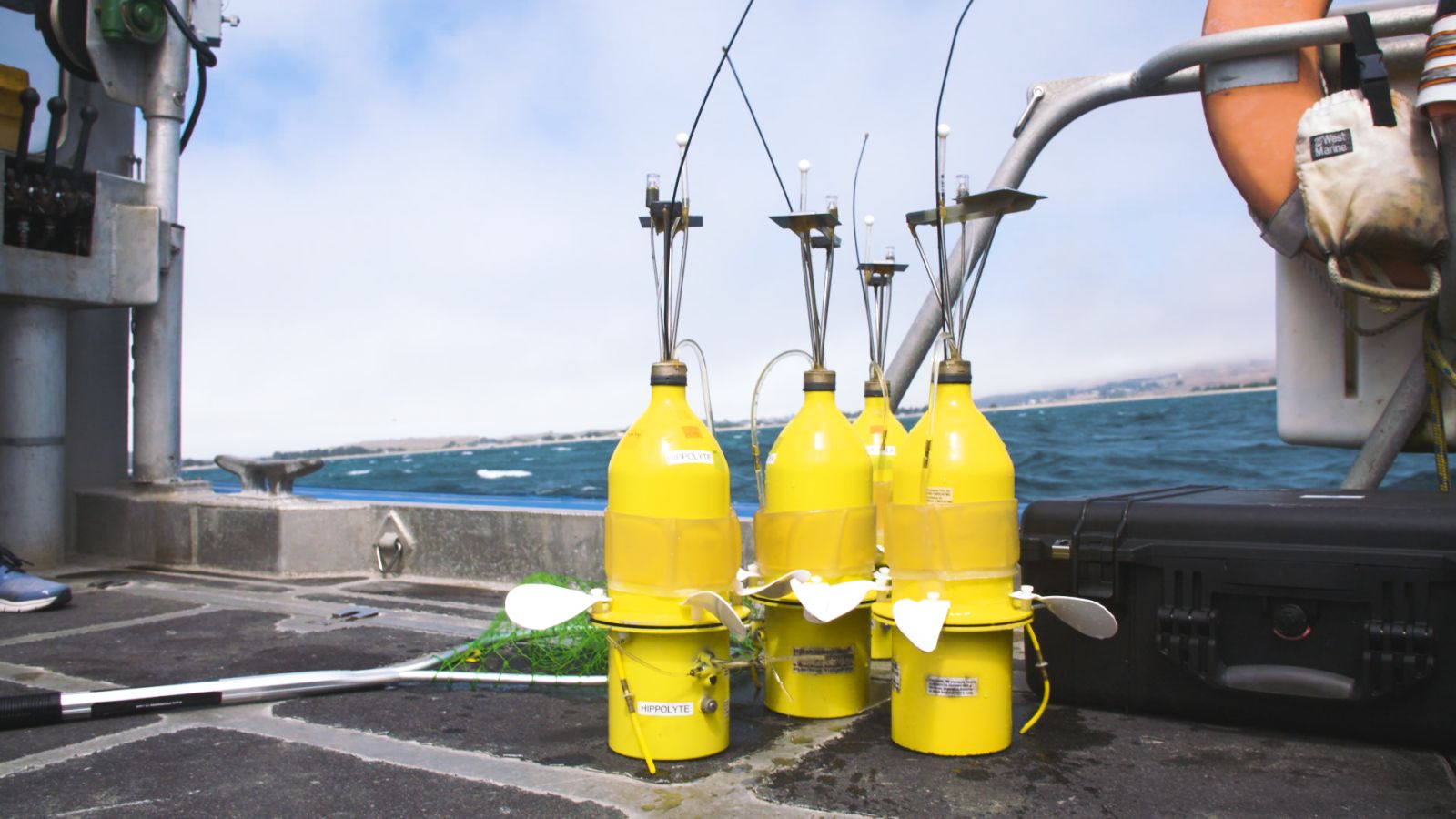 These Aren’t Minions. They’re Robots That Swim Around Solving Mysteries