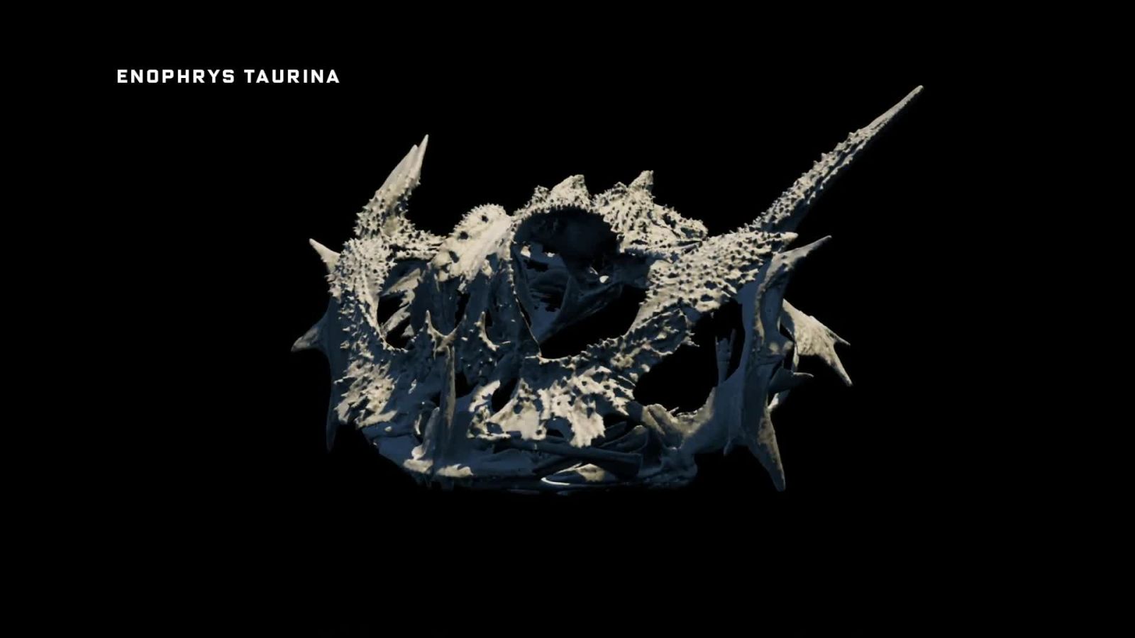 A Scientist's Quest to 3D Scan Thousands of Species