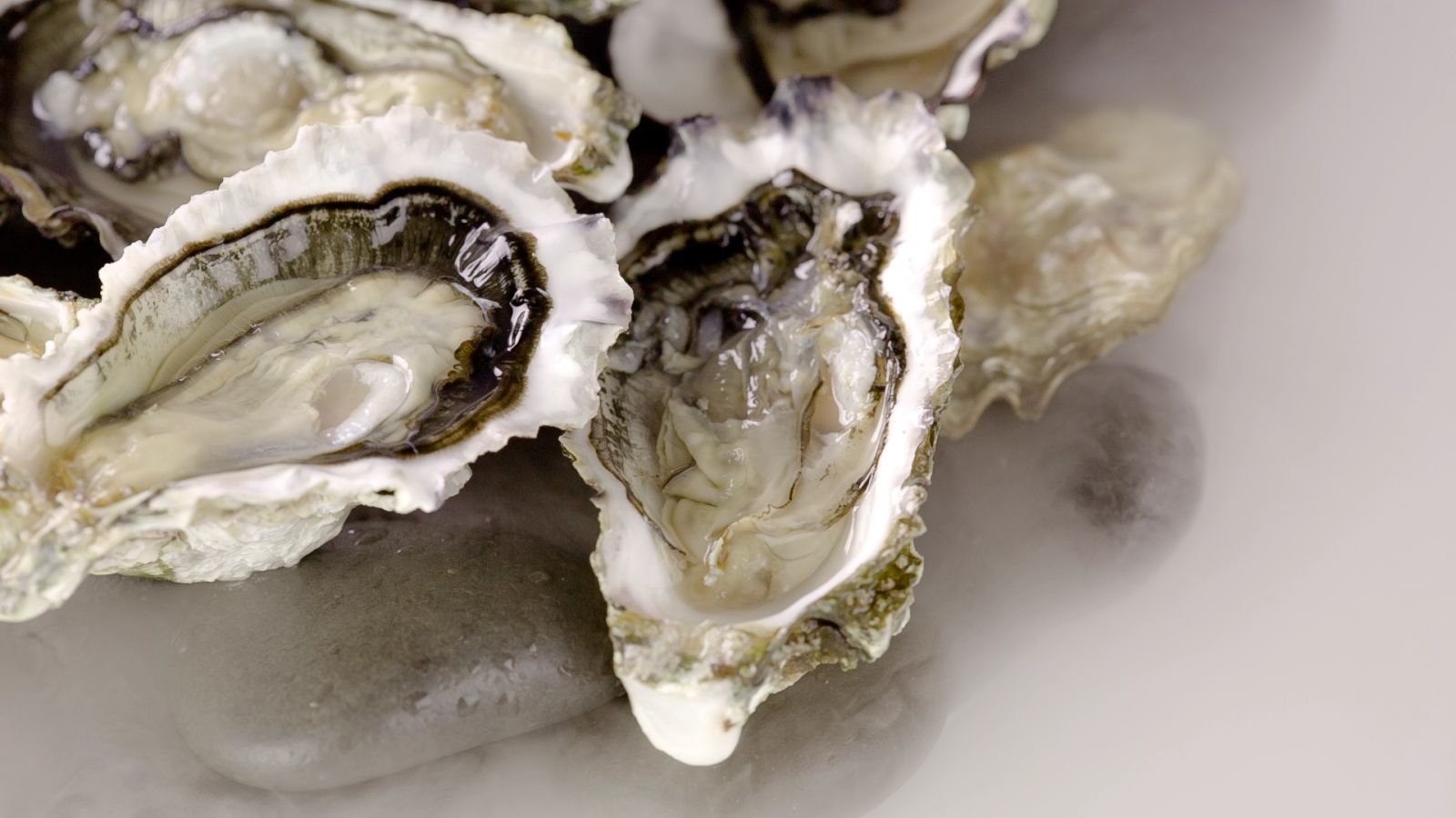 Food Myths: Do Oysters Make You Horny?