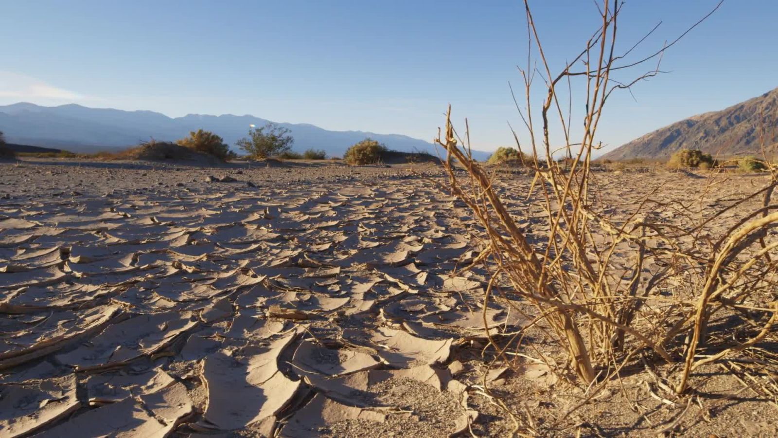 2016 Was the Hottest Year on Record. Blame Humanity