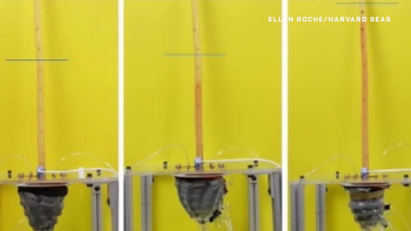 If the Tin Man Actually Had a Heart, It'd Look Like This