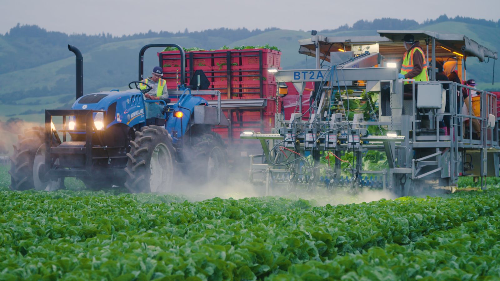 Welcome to Salinas! The Farming Town Where Robots Reign