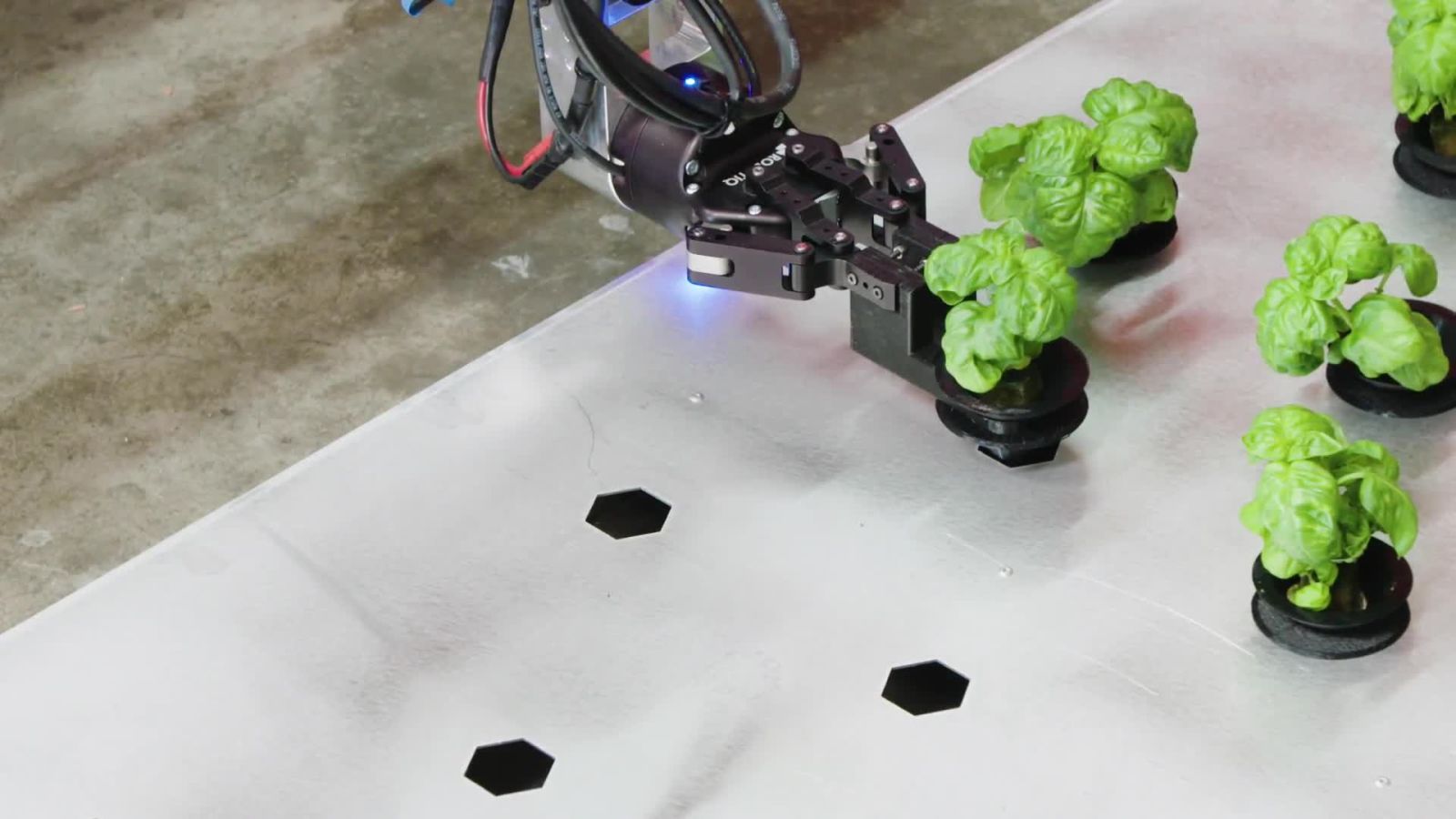 The Farm of the Future Might Be Entirely Run by Robots