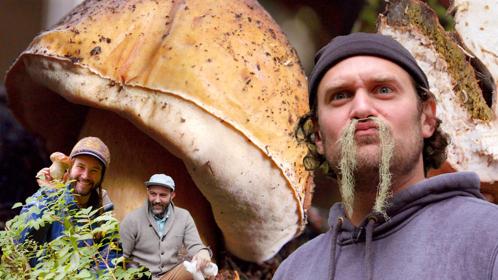 Brad Forages for Porcini Mushrooms